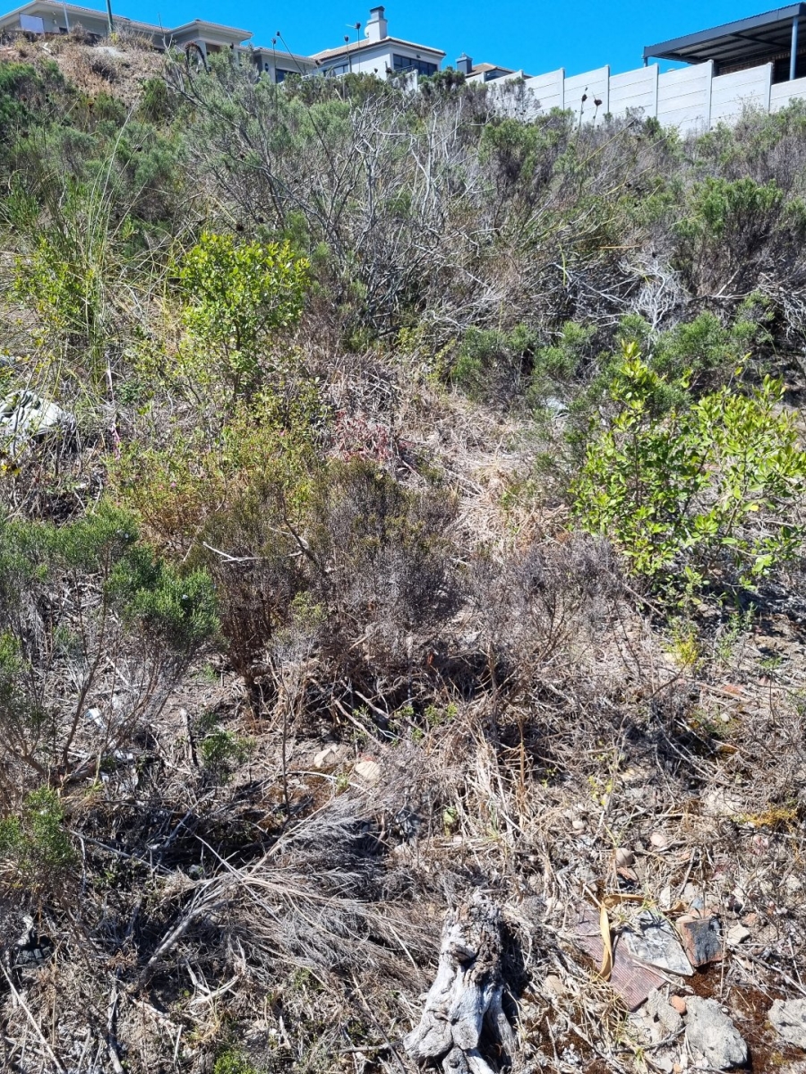 Commercial Property for Sale in Island View Western Cape